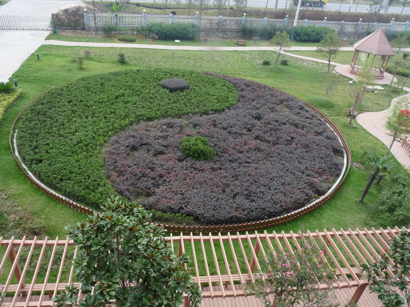 1550868963732960.jpg 111.jpg