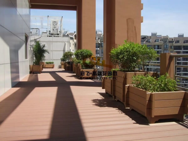 1550872566569955.jpg 111.jpg